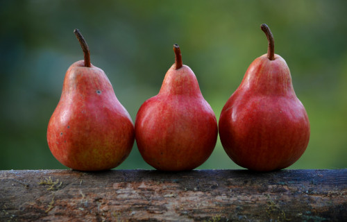 Pears